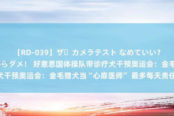 【RD-039】ザ・カメラテスト なめていい？ あ！そこは濡れてるからダメ！ 好意思国体操队带诊疗犬干预奥运会：金毛猎犬当“心扉医师” 最多每天责任15小时