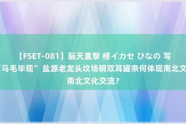 【FSET-081】脳天直撃 極イカセ ひなの 写实进度“马毛毕现” 盐源老龙头坟场铜双耳罐奈何体现南北文化交流？