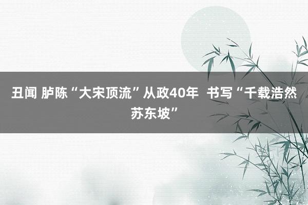 丑闻 胪陈“大宋顶流”从政40年  书写“千载浩然苏东坡”