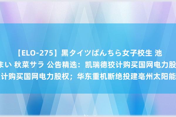 【ELO-275】黒タイツぱんちら女子校生 池谷ひかる さくら 宮下まい 秋菜サラ 公告精选：凯瑞德狡计购买国网电力股权；华东重机断绝投建亳州太阳能电板片技俩