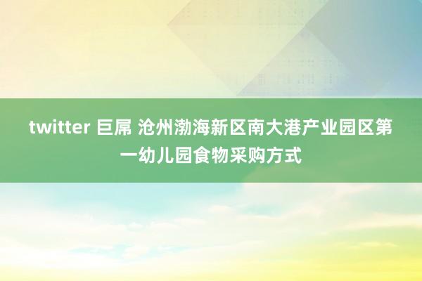 twitter 巨屌 沧州渤海新区南大港产业园区第一幼儿园食物采购方式