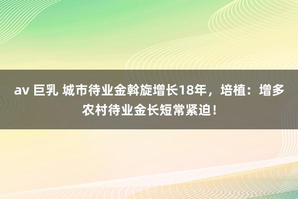 av 巨乳 城市待业金斡旋增长18年，培植：增多农村待业金长短常紧迫！