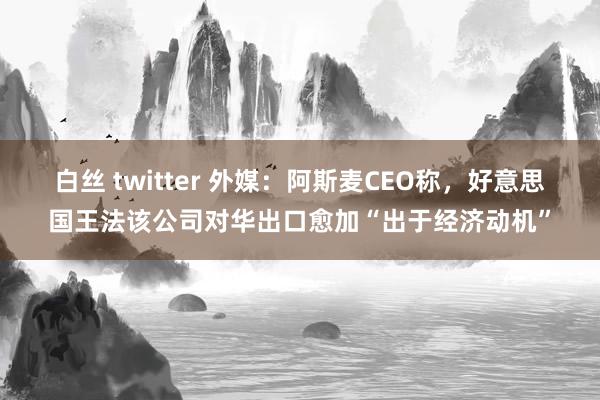 白丝 twitter 外媒：阿斯麦CEO称，好意思国王法该公司对华出口愈加“出于经济动机”