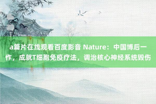 a篇片在线观看百度影音 Nature：中国博后一作，成就T细胞免疫疗法，调治核心神经系统毁伤