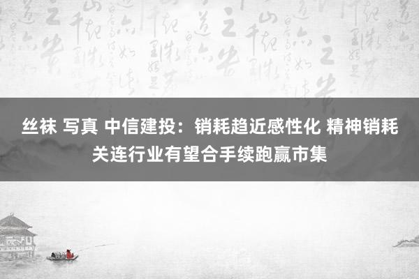 丝袜 写真 中信建投：销耗趋近感性化 精神销耗关连行业有望合手续跑赢市集