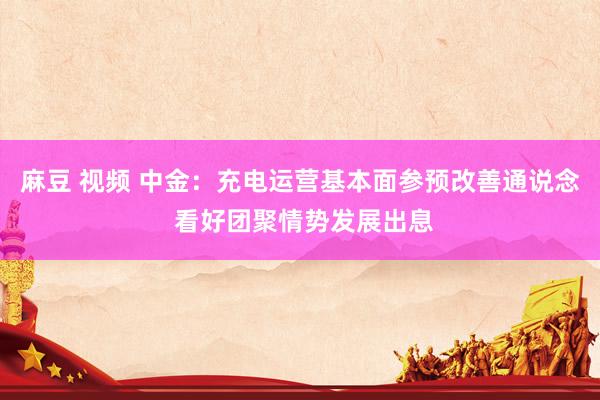 麻豆 视频 中金：充电运营基本面参预改善通说念 看好团聚情势发展出息