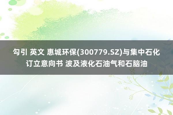 勾引 英文 惠城环保(300779.SZ)与集中石化订立意向书 波及液化石油气和石脑油