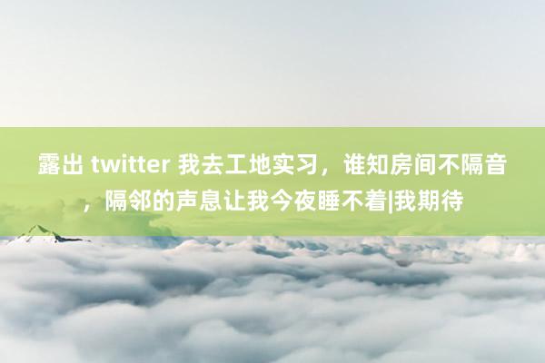 露出 twitter 我去工地实习，谁知房间不隔音，隔邻的声息让我今夜睡不着|我期待