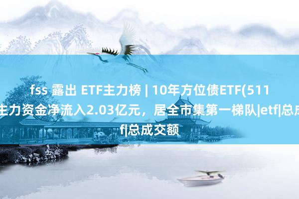 fss 露出 ETF主力榜 | 10年方位债ETF(511270)主力资金净流入2.03亿元，居全市集第一梯队|etf|总成交额