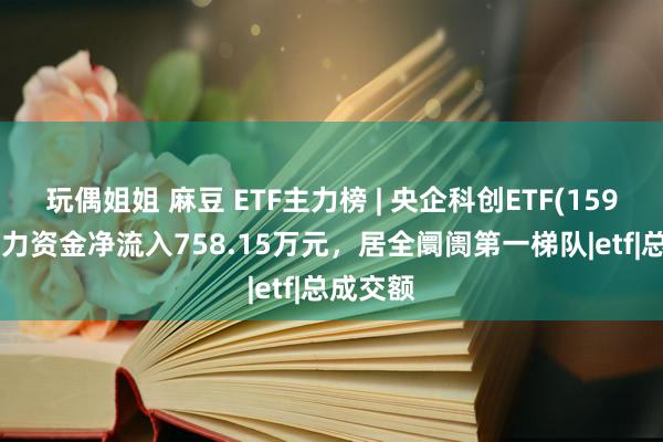 玩偶姐姐 麻豆 ETF主力榜 | 央企科创ETF(159335)主力资金净流入758.15万元，居全阛阓第一梯队|etf|总成交额